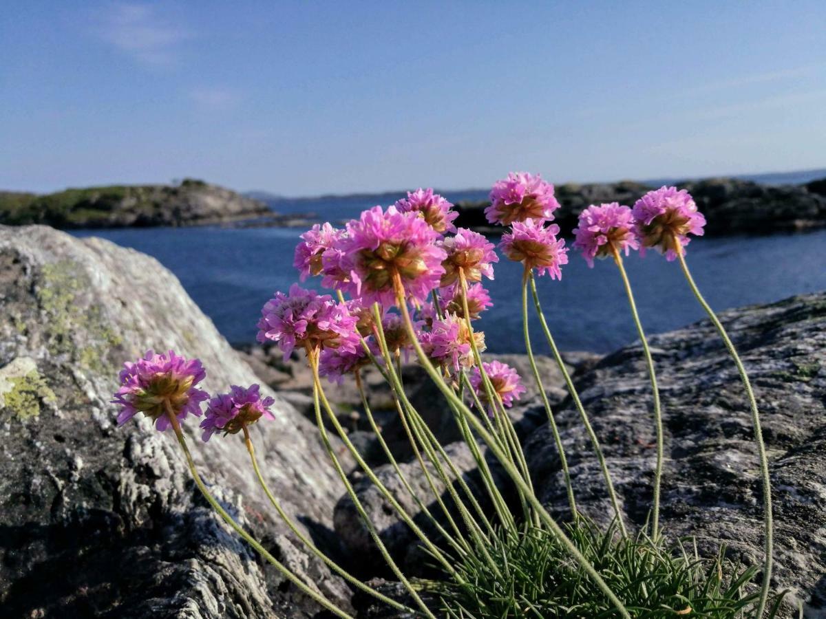 VågenesKuvagen 23别墅 外观 照片