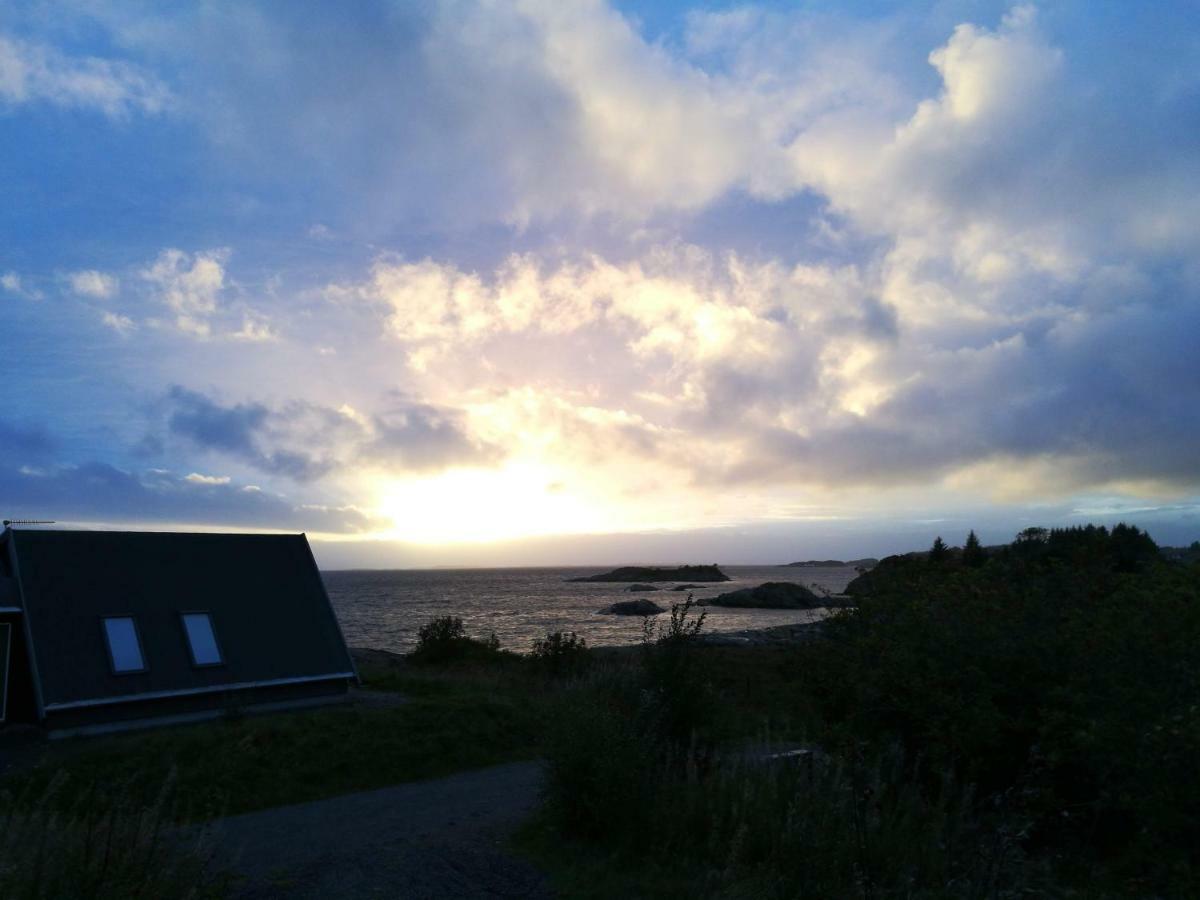 VågenesKuvagen 23别墅 外观 照片
